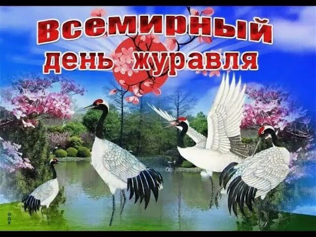 IMG_20250916_085022_452