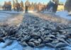 Республиканский молодежный фестиваль «Мунха Олонхо» посетила делегация Нерюнгринского района