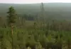 Особый противопожарный режим снят в Якутии