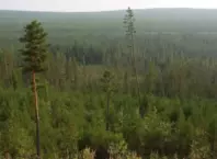 Особый противопожарный режим снят в Якутии