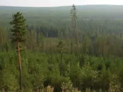 Особый противопожарный режим снят в Якутии