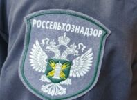 В Нерюнгри Россельхознадзор проверил контактный мини-зоопарк