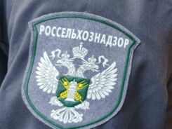 В Нерюнгри Россельхознадзор проверил контактный мини-зоопарк