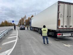Россельхознадзор в Нерюнгринском районе пресек перевозку более 18 тонн животной продукции без документов
